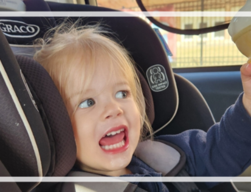 Road Trip with a Toddler – The Best Advice